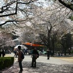 Apr2009atShinjukuGyoen