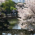 Apr2009atShinjukuGyoen