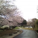 20110409140540.jpg